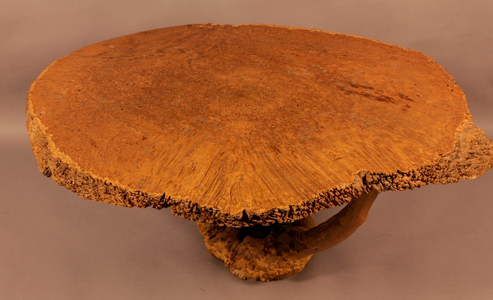 Very Unusual Coffee Table Amboyner Wood Tree Trunk